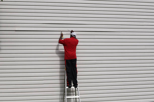 Best Siding Removal and Disposal  in Council Bluffs, IA