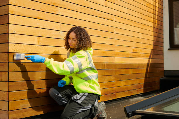 Best Brick Veneer Siding  in Council Bluffs, IA